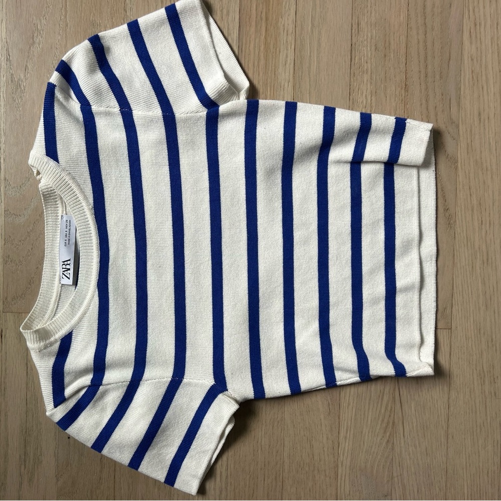 Zara Blue and White Striped Short Sleeve Tee